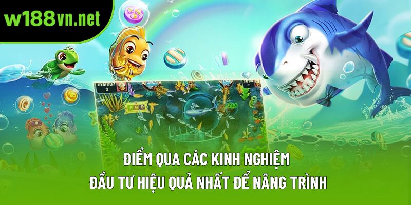 Điểm qua các kinh nghiệm đầu tư hiệu quả nhất để nâng trình Điểm qua các kinh nghiệm đầu tư hiệu quả nhất để nâng trình