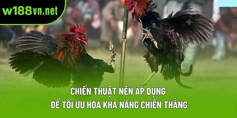 Chiến thuật nên áp dụng để tối ưu hóa khả năng chiến thắng Chiến thuật nên áp dụng để tối ưu hóa khả năng chiến thắng