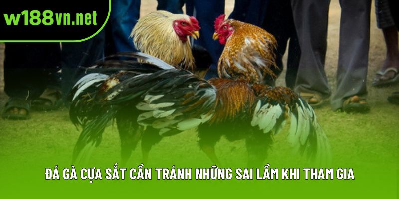 Đá gà cựa sắt cần tránh những sai lầm khi tham gia Đá gà cựa sắt cần tránh những sai lầm khi tham gia