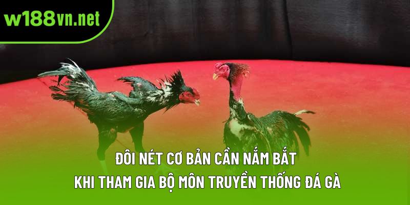 Đôi nét cơ bản cần nắm bắt khi tham gia bộ môn truyền thống đá gà Đôi nét cơ bản cần nắm bắt khi tham gia bộ môn truyền thống đá gà